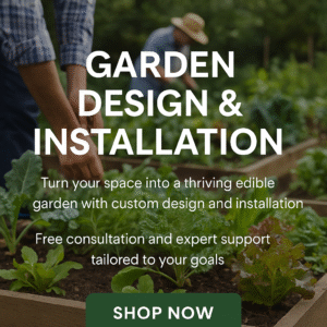 Garden Design and Installation